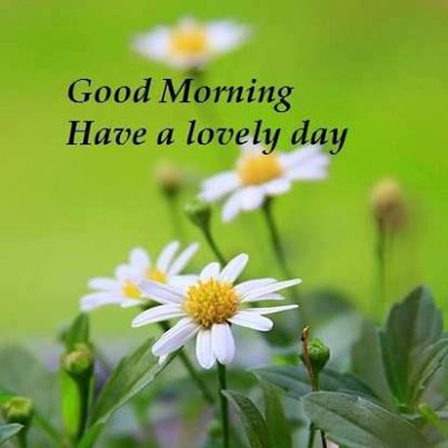 Good morning have a lovely day nature quote