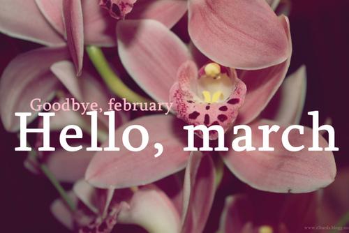 Hello march 2015 1